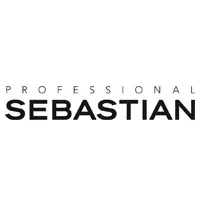 logo-professional-sebastian